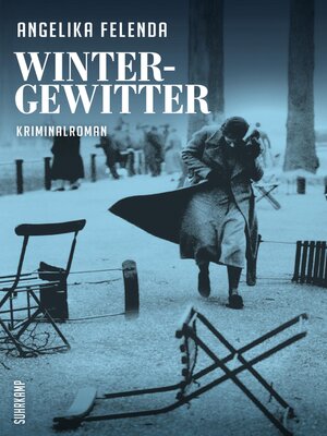 cover image of Wintergewitter